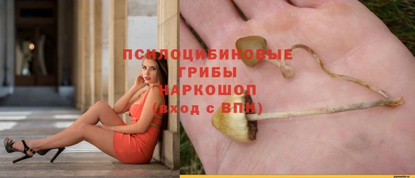 ГАЛЛЮЦИНОГЕННЫЕ ГРИБЫ Бородино