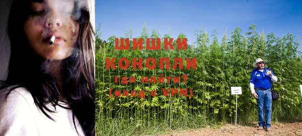 ГАЛЛЮЦИНОГЕННЫЕ ГРИБЫ Бородино