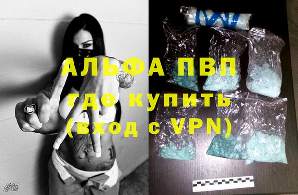 PSILOCYBIN Бронницы