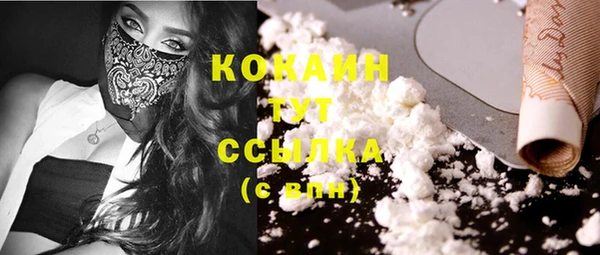 PSILOCYBIN Бронницы