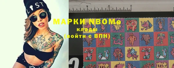 ГАЛЛЮЦИНОГЕННЫЕ ГРИБЫ Бородино