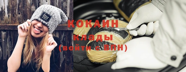 ГАЛЛЮЦИНОГЕННЫЕ ГРИБЫ Бородино