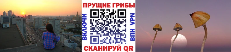 Галлюциногенные грибы Magic Shrooms  Бологое 